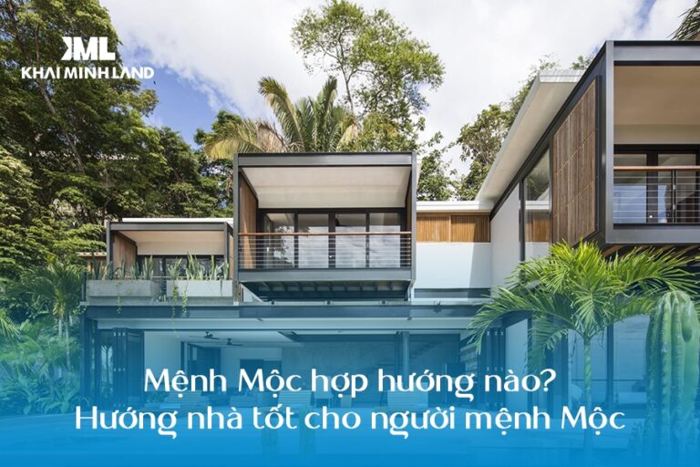 Mệnh Mộc hợp hướng nào