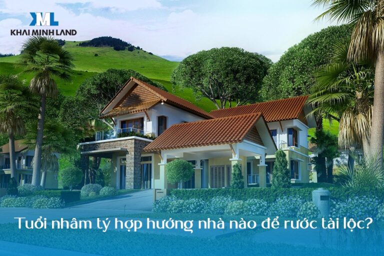 Tuổi Nhâm Tý Hợp hướng nhà nào