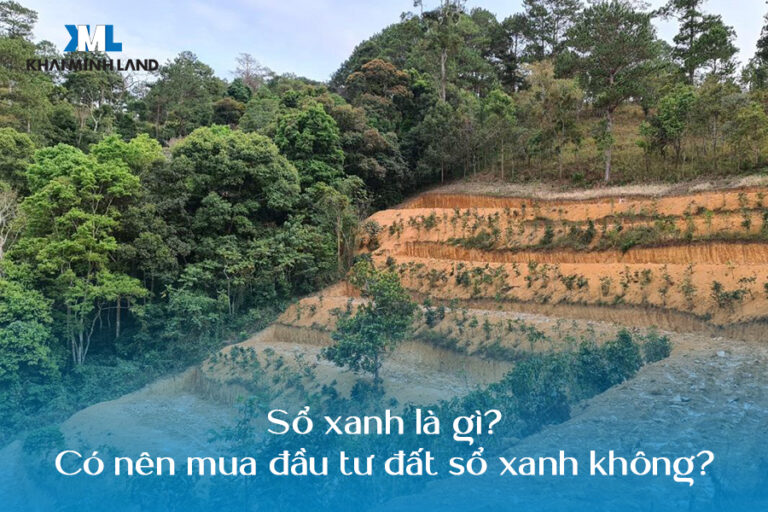 Sổ xanh là gì